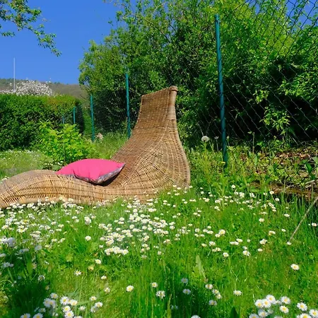 Ferienweingut Wissing Frieda Apartment *