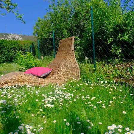 Ferienweingut Wissing Frieda アパート *