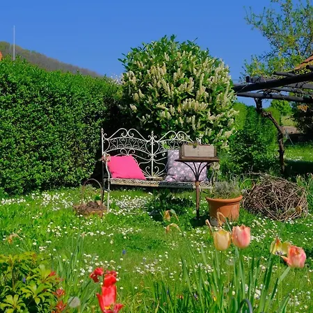 아파트 Ferienweingut Wissing Frieda *