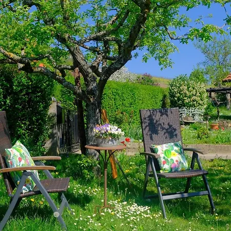Ferienweingut Wissing Frieda グライスツェレン・グライスホルバッハ