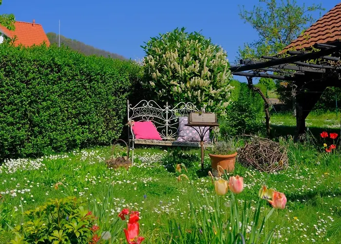 Apartamento Ferienweingut Wissing Frieda *