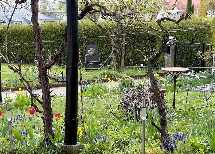 Ferienweingut Wissing Frieda Apartamento